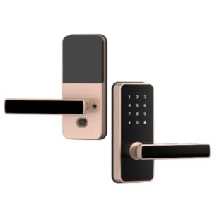 Catus Touch Digital Door Lock with 2 in 1 Access